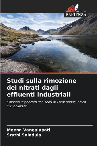 Studi sulla rimozione dei nitrati dagli effluenti industriali