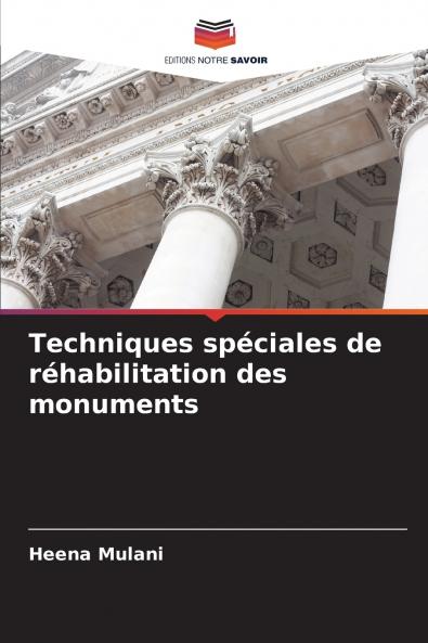 Techniques spéciales de réhabilitation des monuments