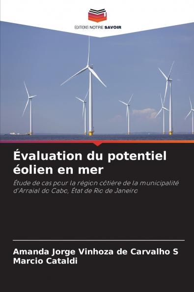 Évaluation du potentiel éolien en mer