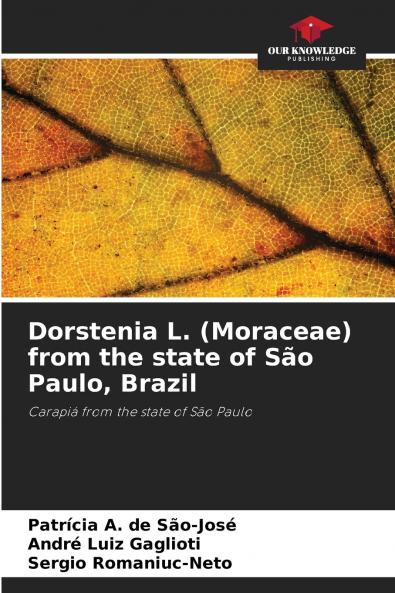 Dorstenia L. (Moraceae) from the state of São Paulo Brazil