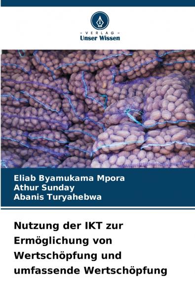 Nutzung der IKT zur Ermöglichung von Wertschöpfung und umfassende Wertschöpfung