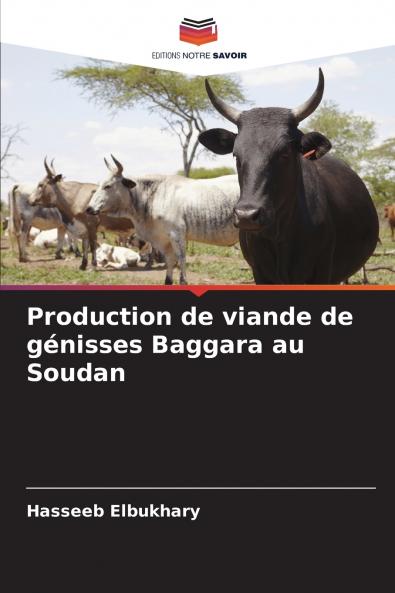 Production de viande de génisses Baggara au Soudan