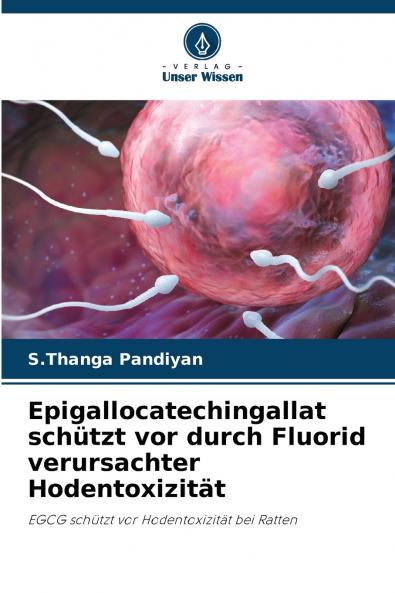 Epigallocatechingallat schützt vor durch Fluorid verursachter Hodentoxizität