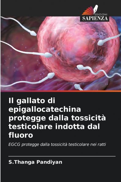 Il gallato di epigallocatechina protegge dalla tossicità testicolare indotta dal fluoro