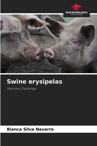 Swine erysipelas