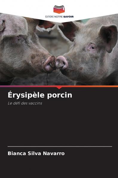 Érysipèle porcin