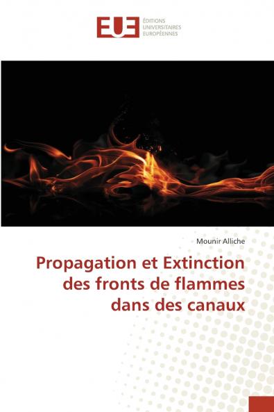 Propagation et Extinction des fronts de flammes dans des canaux