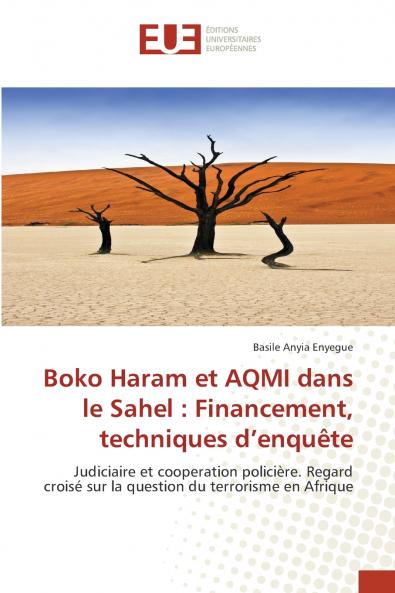 Boko Haram et AQMI dans le Sahel