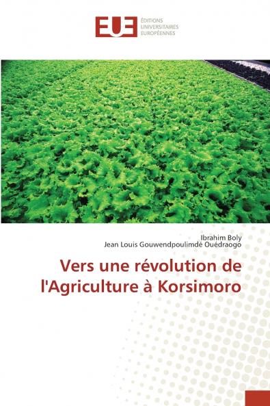 Vers une révolution de l'Agriculture à Korsimoro