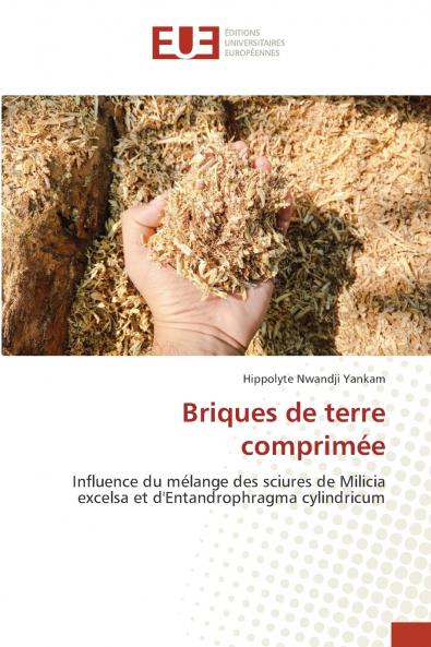 Briques de terre comprimée