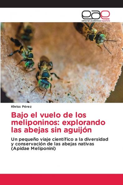 Bajo el vuelo de los meliponinos
