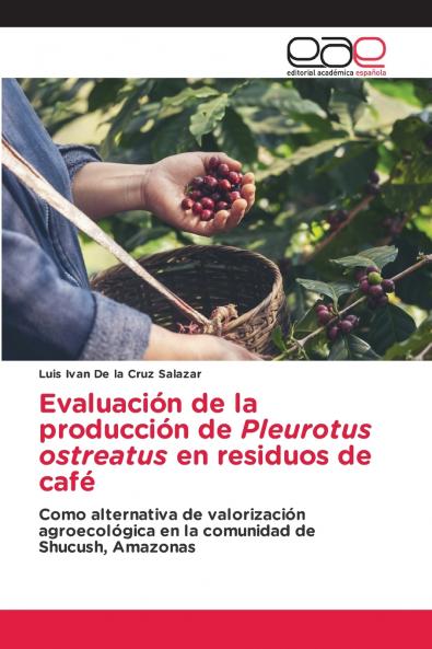 Evaluación de la producción de Pleurotus ostreatus en residuos de café