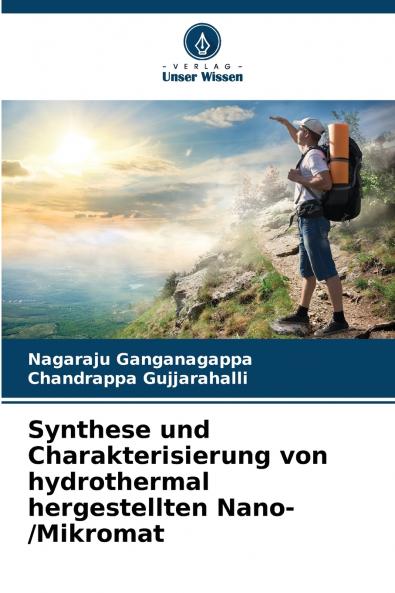 Synthese und Charakterisierung von hydrothermal hergestellten Nano-/Mikromat
