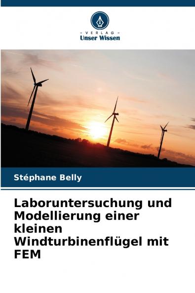 Laboruntersuchung und Modellierung einer kleinen Windturbinenflügel mit FEM