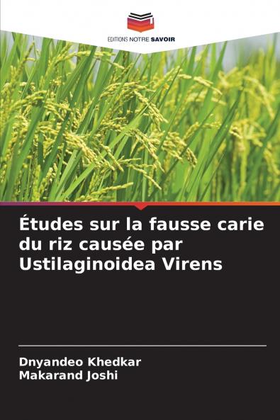 Études sur la fausse carie du riz causée par Ustilaginoidea Virens