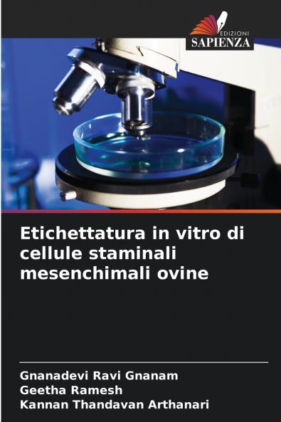 Etichettatura in vitro di cellule staminali mesenchimali ovine