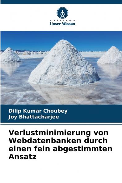 Verlustminimierung von Webdatenbanken durch einen fein abgestimmten Ansatz