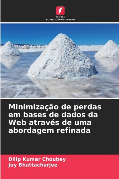Minimização de perdas em bases de dados da Web através de uma abordagem refinada
