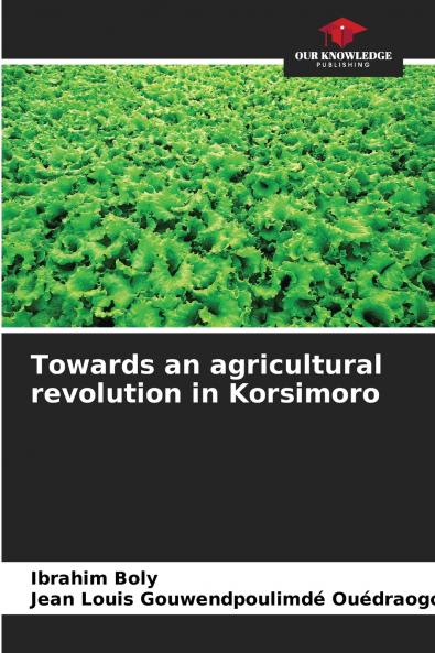 Towards an agricultural revolution in Korsimoro