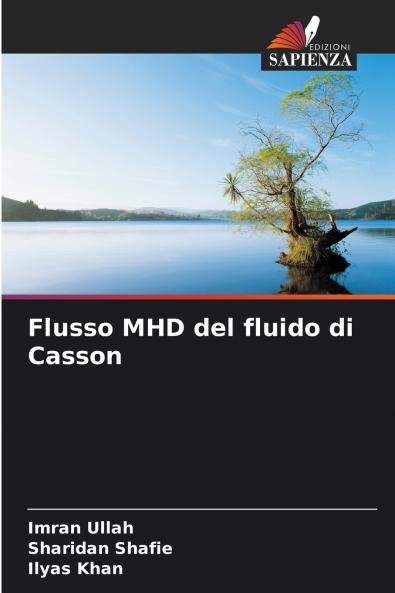 Flusso MHD del fluido di Casson