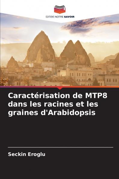 Caractérisation de MTP8 dans les racines et les graines d'Arabidopsis