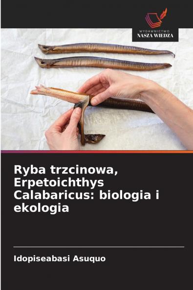 Ryba trzcinowa Erpetoichthys Calabaricus