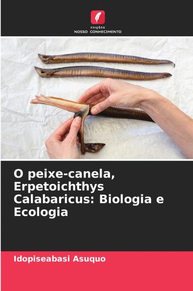 O peixe-canela Erpetoichthys Calabaricus