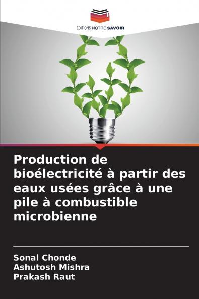 Production de bioélectricité à partir des eaux usées grâce à une pile à combustible microbienne