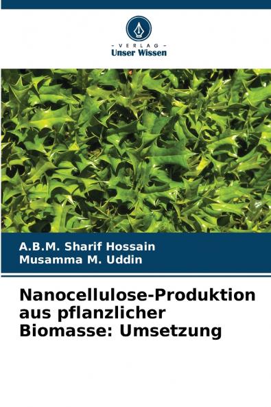 Nanocellulose-Produktion aus pflanzlicher Biomasse
