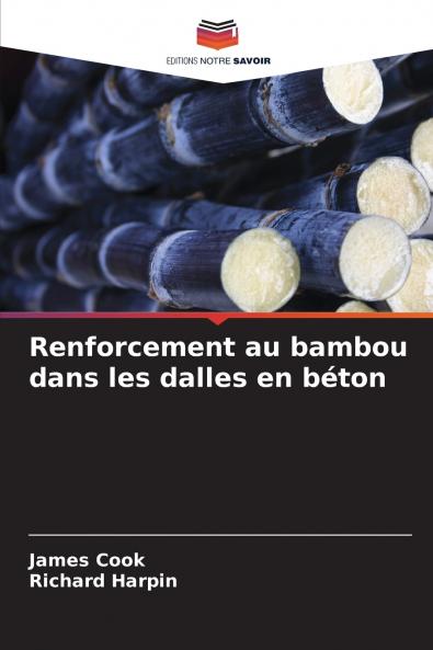 Renforcement au bambou dans les dalles en béton