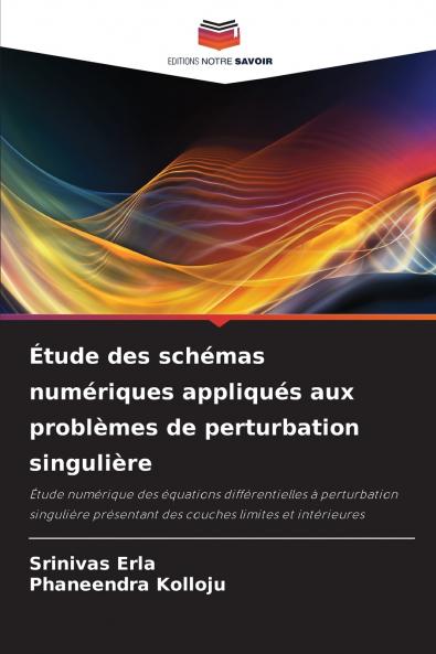 Étude des schémas numériques appliqués aux problèmes de perturbation singulière