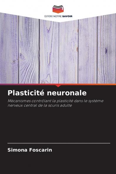Plasticité neuronale