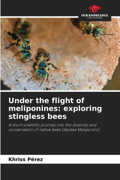 Under the flight of meliponines