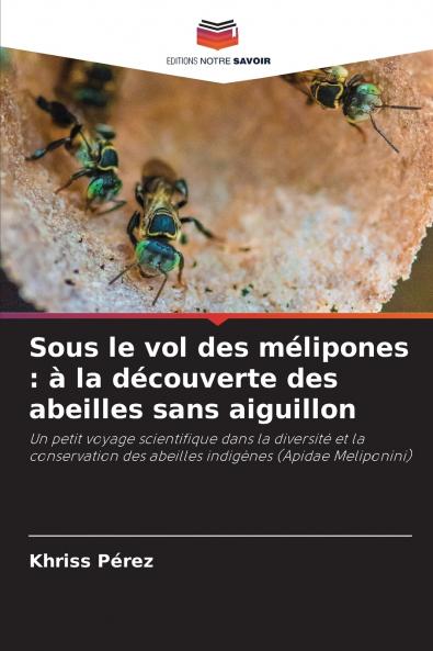 Sous le vol des mélipones
