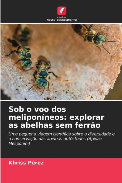 Sob o voo dos meliponíneos