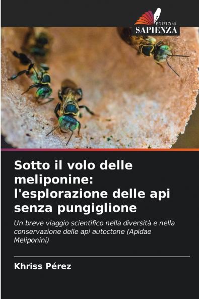 Sotto il volo delle meliponine