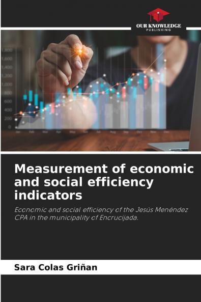 Measurement of economic and social efficiency indicators
