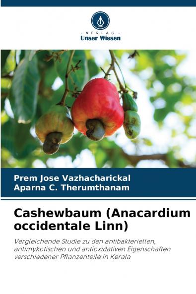 Cashewbaum (Anacardium occidentale Linn)