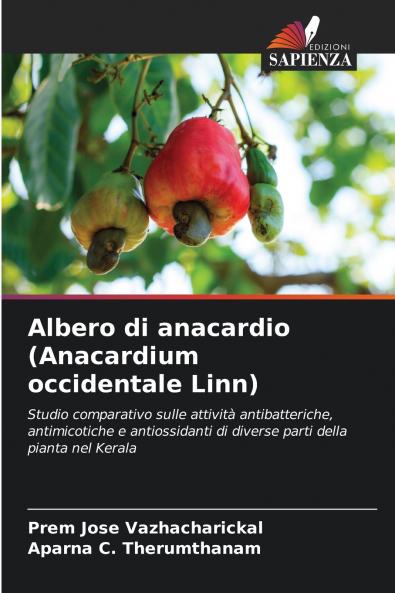 Albero di anacardio (Anacardium occidentale Linn)