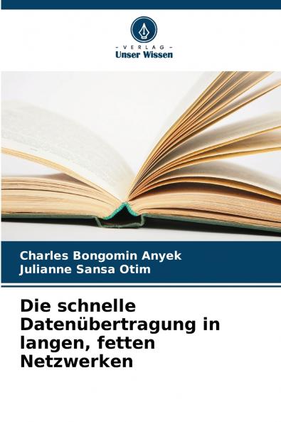 Die schnelle Datenübertragung in langen fetten Netzwerken