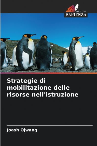 Strategie di mobilitazione delle risorse nell'istruzione