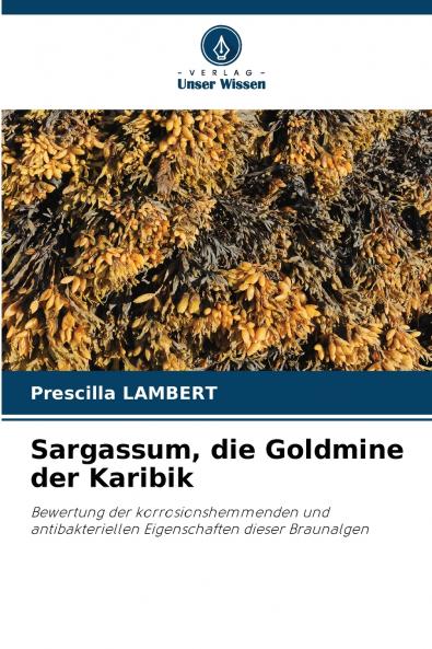 Sargassum die Goldmine der Karibik