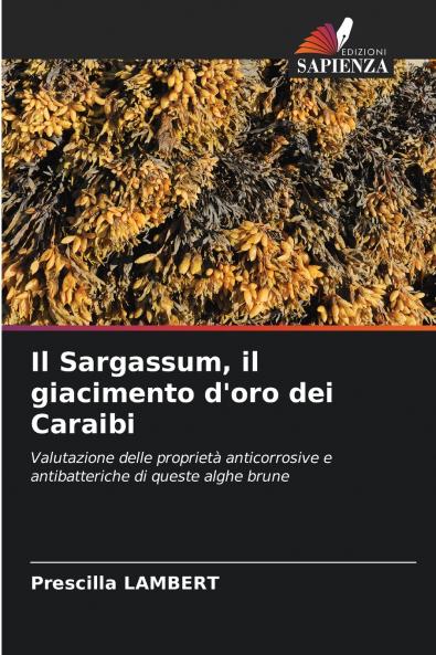 Il Sargassum il giacimento d'oro dei Caraibi