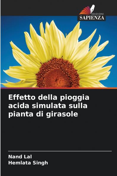 Effetto della pioggia acida simulata sulla pianta di girasole