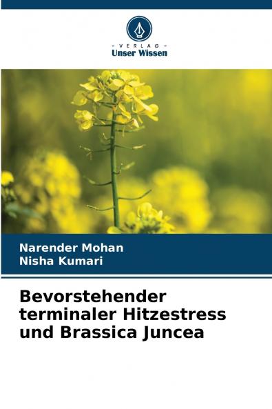 Bevorstehender terminaler Hitzestress und Brassica Juncea