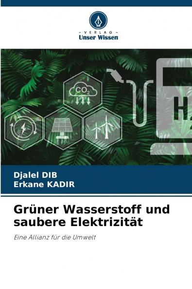 Grüner Wasserstoff und saubere Elektrizität