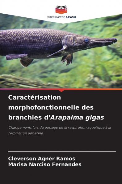 Caractérisation morphofonctionnelle des branchies d'Arapaima gigas