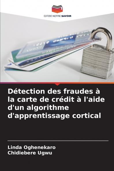 Détection des fraudes à la carte de crédit à l'aide d'un algorithme d'apprentissage cortical