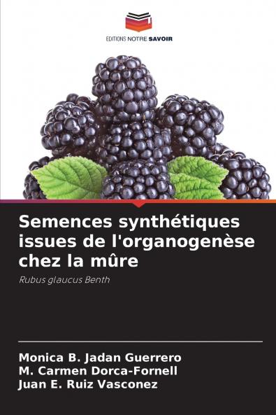 Semences synthétiques issues de l'organogenèse chez la mûre