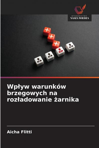 Wpływ warunków brzegowych na rozładowanie żarnika